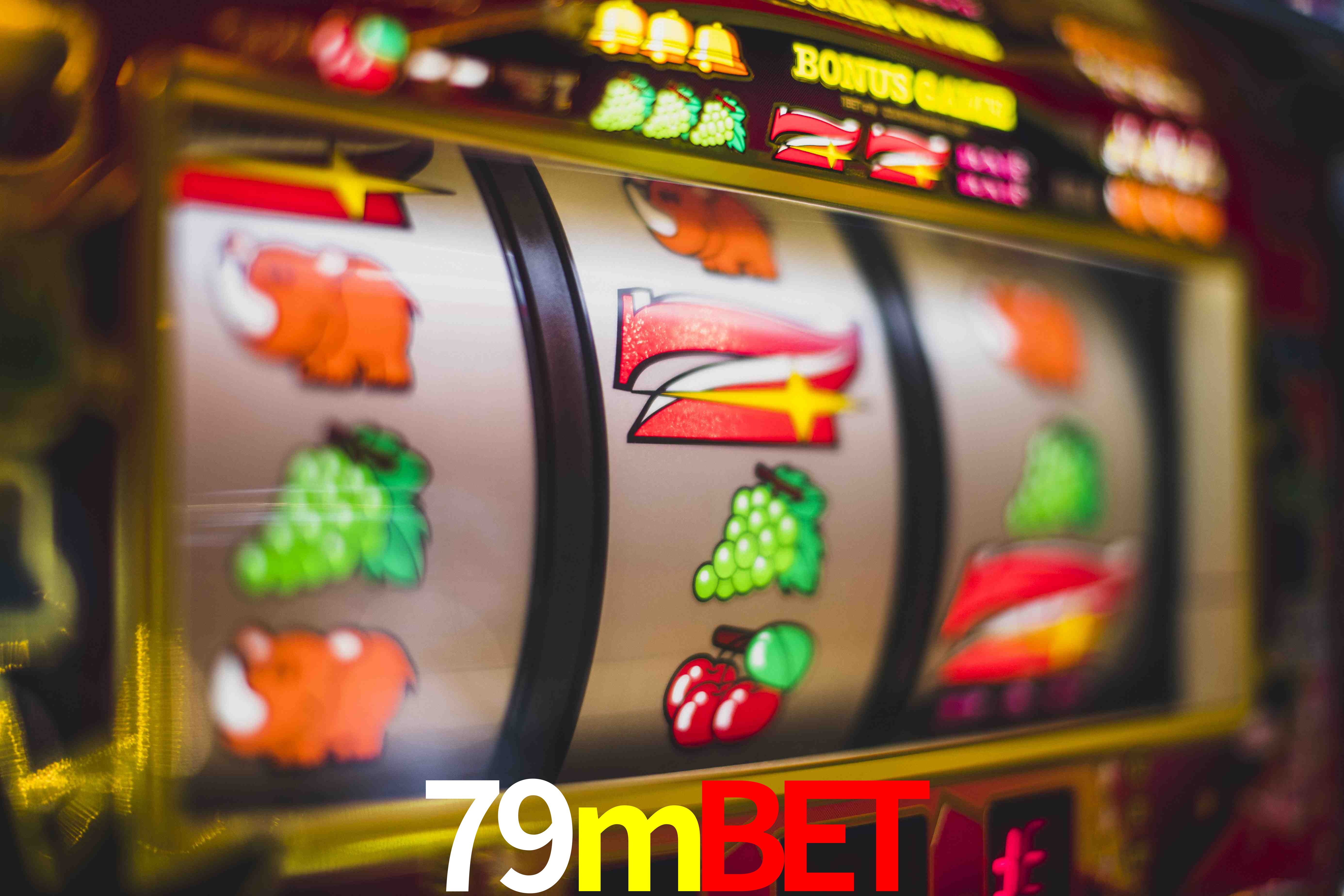 Sports Statistics 79mbet